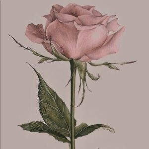 Meet your Posher, Jacie